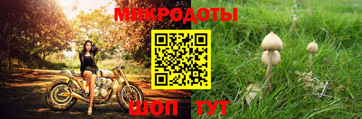Гагарин  Псилоцибиновые грибы мицелий  Вход с VPN 